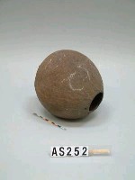藏品(椰殼水壺)的圖片